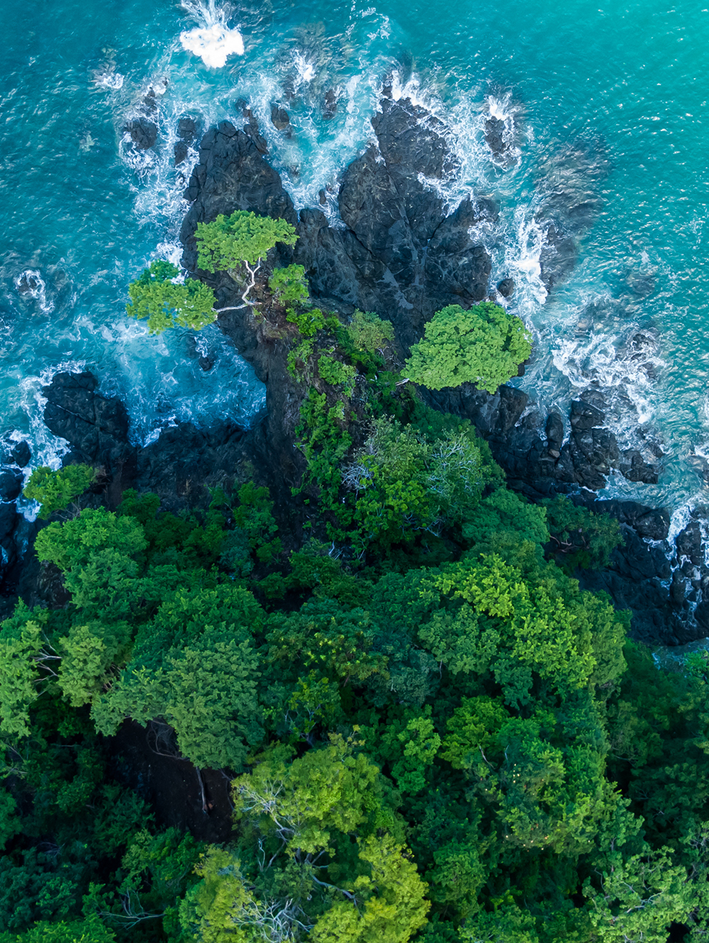 Sustainability & Responsibility